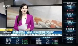 叶飞爆料详细内容视频,揭秘内幕交易黑幕，深度剖析金融圈惊天秘密